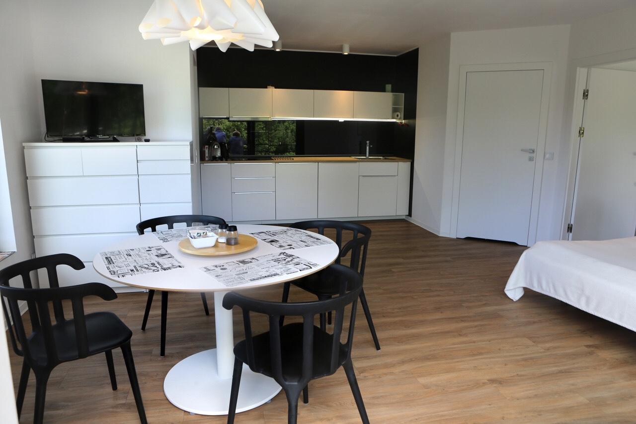 Apartamenty Innwersja دوشنيكي زدروي المظهر الخارجي الصورة